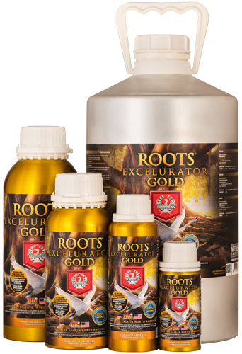 Roots Excelurator Gold - House & Garden