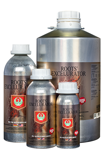 Roots Excelurator Silver - House & Garden