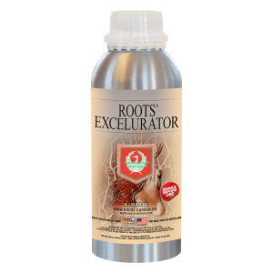 roots excelurator